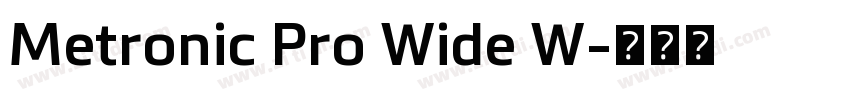 Metronic Pro Wide W字体转换